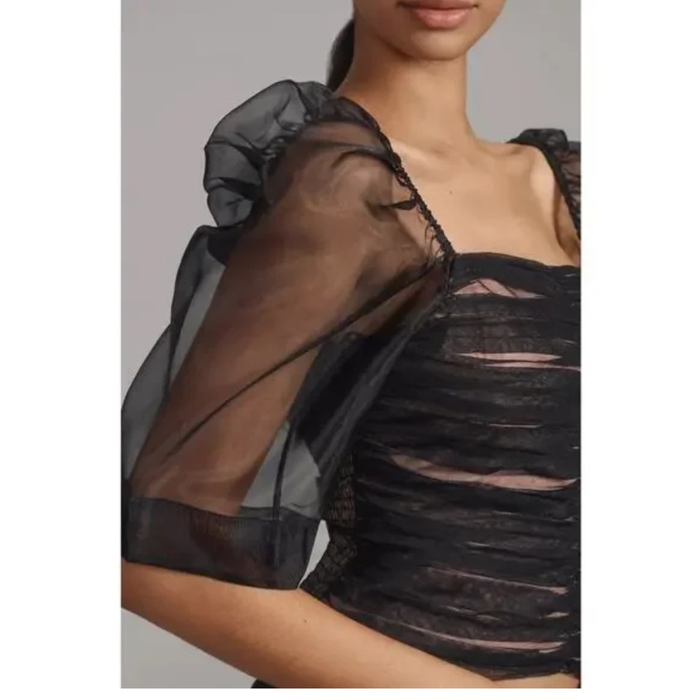 Maeve Black and Tan Sheer Top